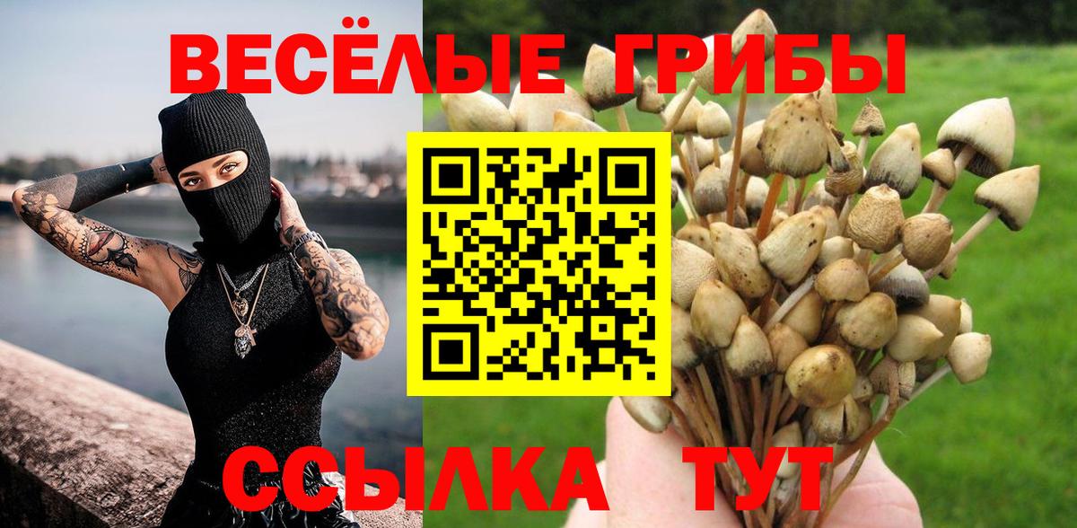 Псилоцибиновые грибы MAGIC MUSHROOMS  Вход с VPN  Сокол 