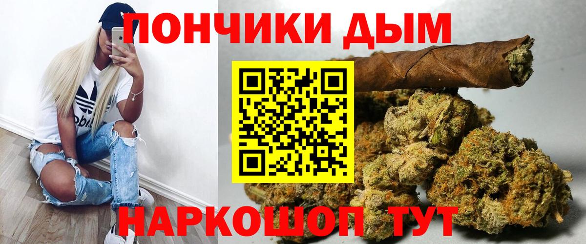 Канабис конопля Сокол